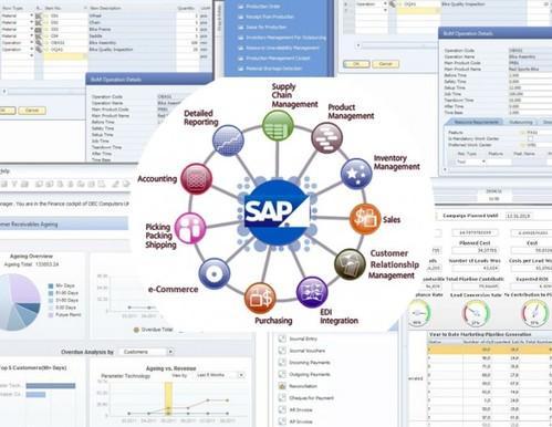 SAP ERP screenshot 1