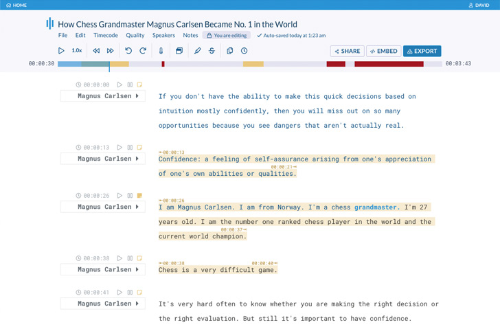 Sonix screenshot 2