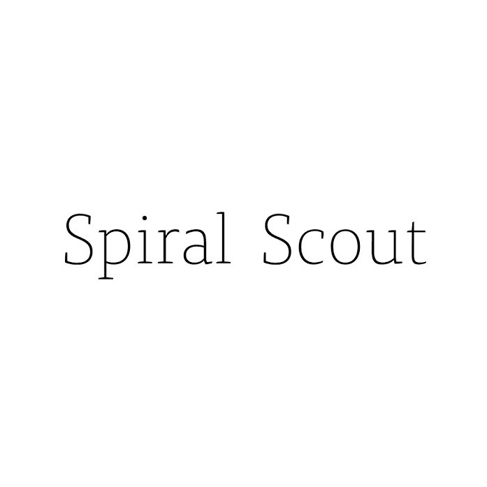 Spiral Scout - Top IT Companies & Agencies | Wadline