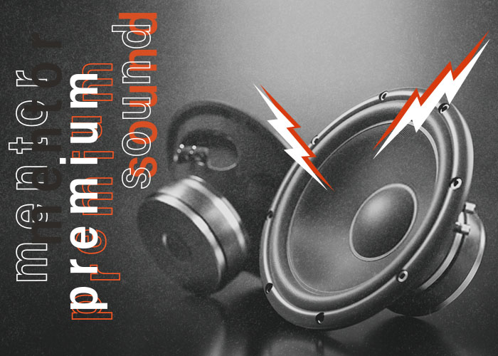 Покорили рынок автозвука